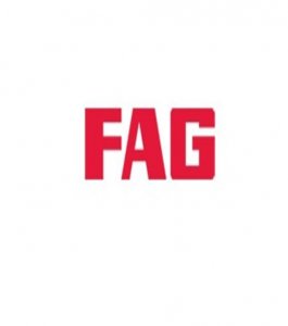 Fag Rulman