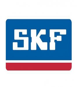SKF RULMAN